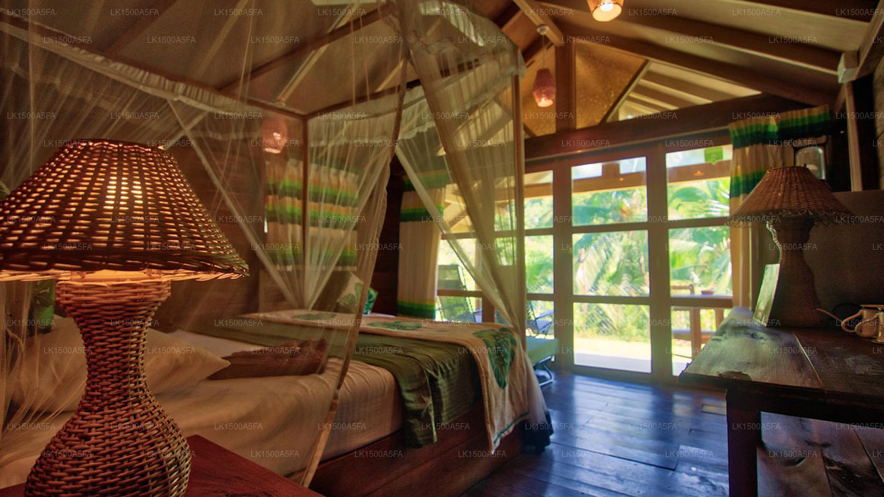 360 Regenwald, Deniyaya