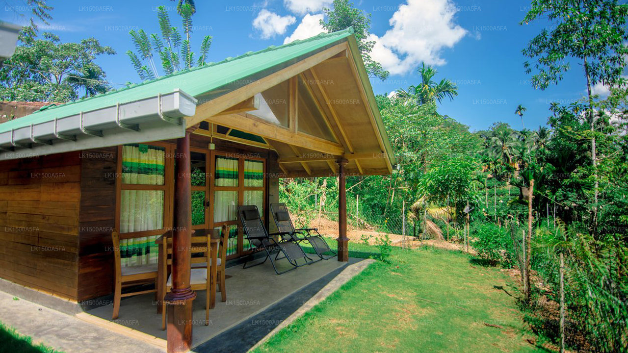 360 Regenwald, Deniyaya