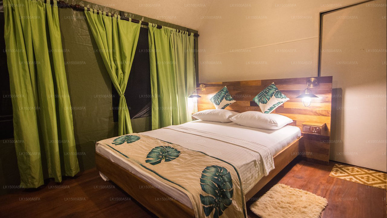360 Regenwald, Deniyaya