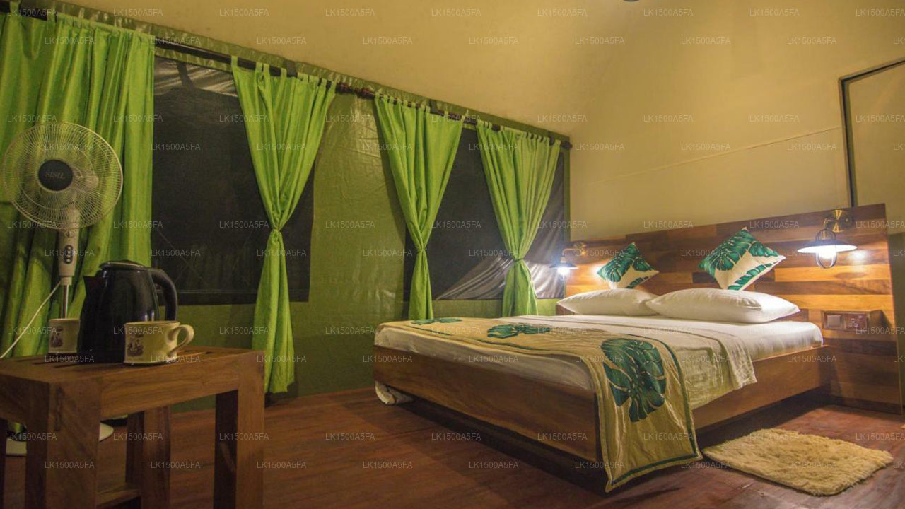 360 Regenwald, Deniyaya