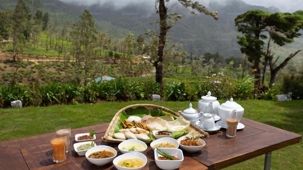 Tee- und Erlebnisfabrik, Mandaram Nuwara