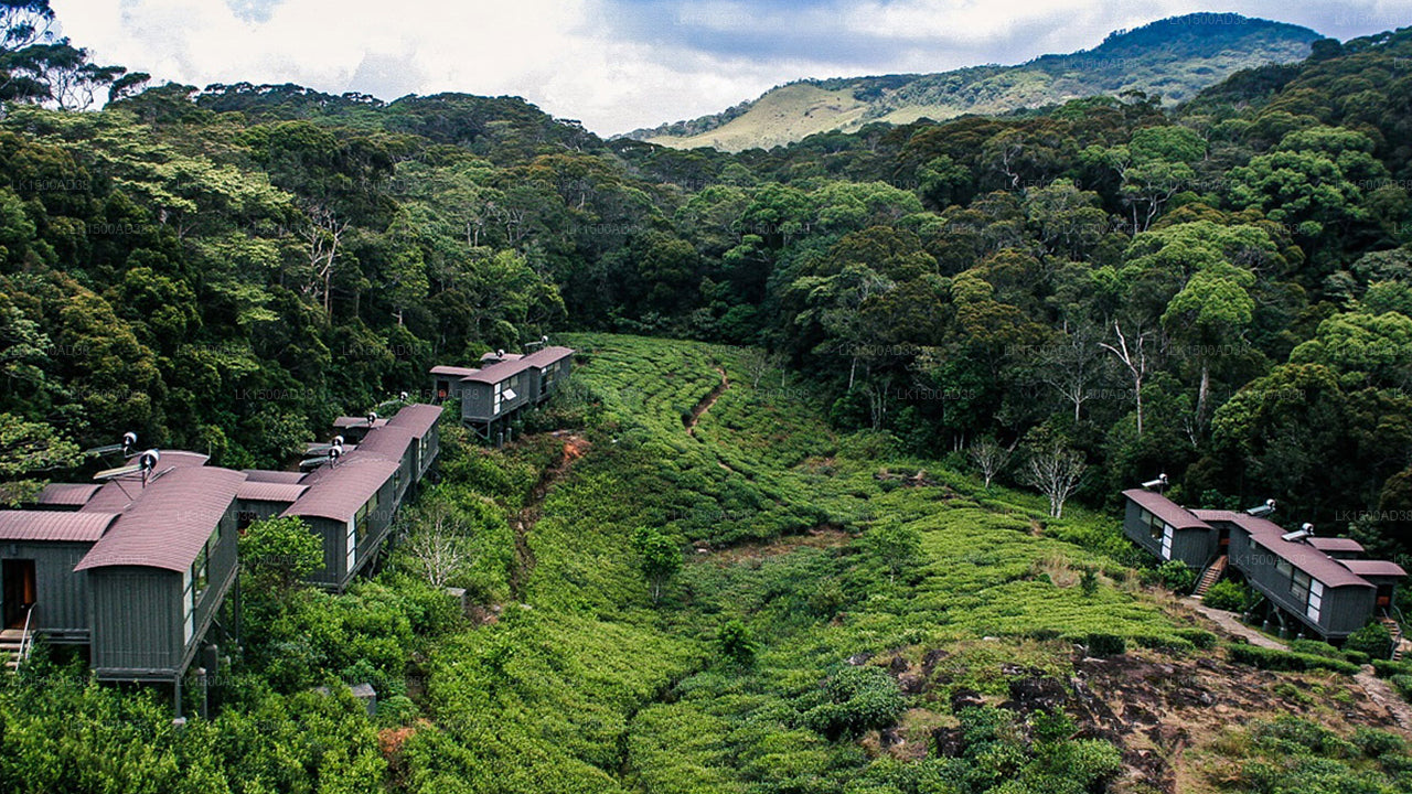 Regenwald-Ecolodge, Sinharaja