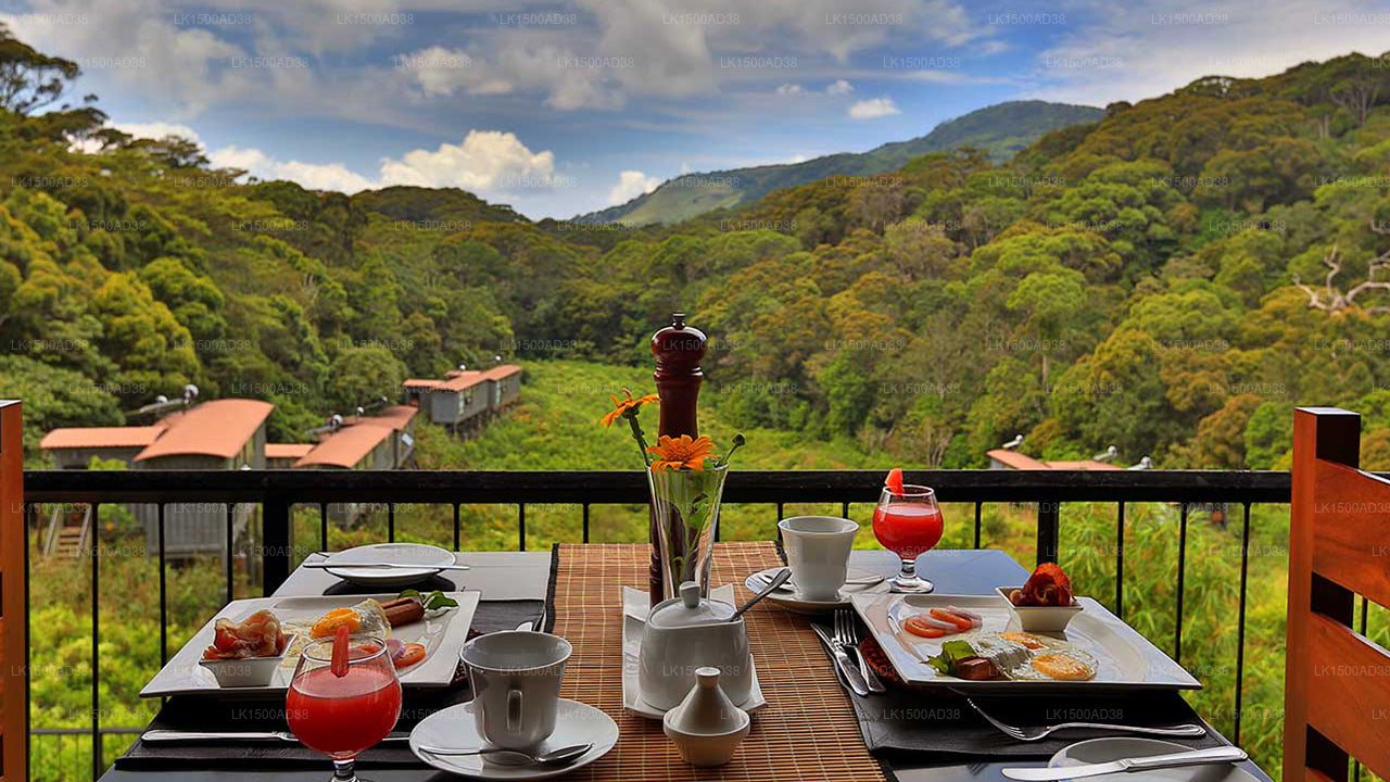 Regenwald-Ecolodge, Sinharaja