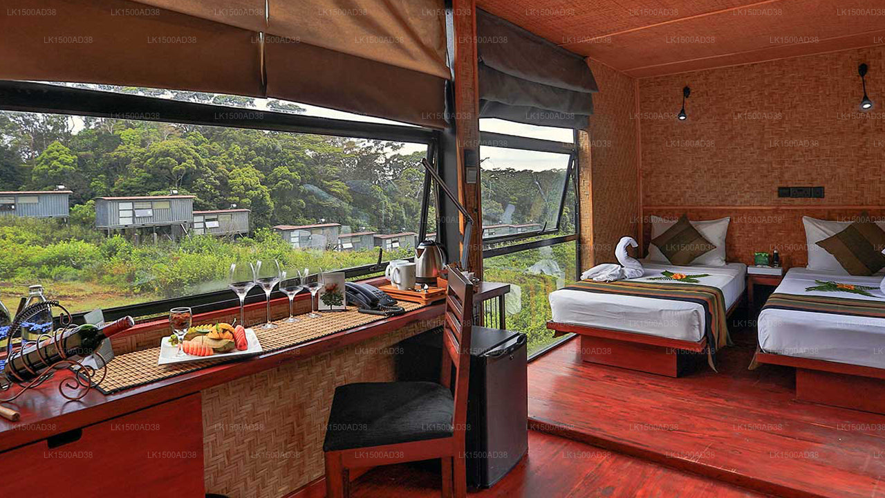 Regenwald-Ecolodge, Sinharaja