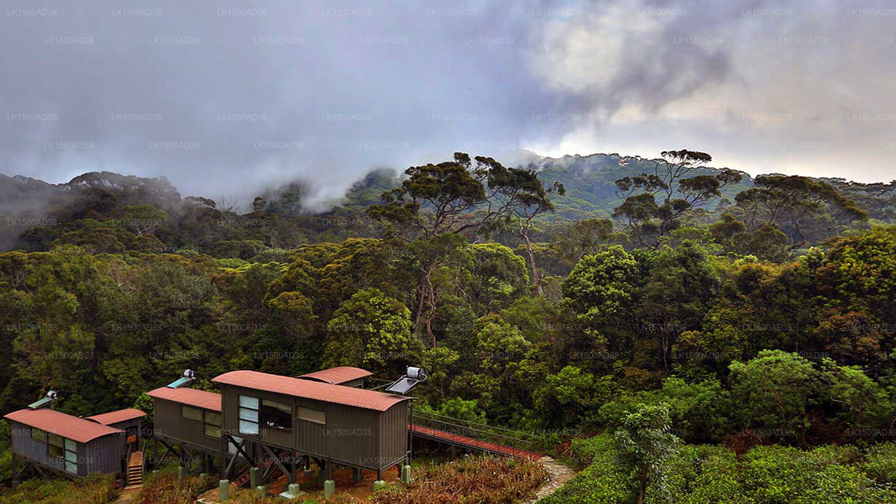 Regenwald-Ecolodge, Sinharaja