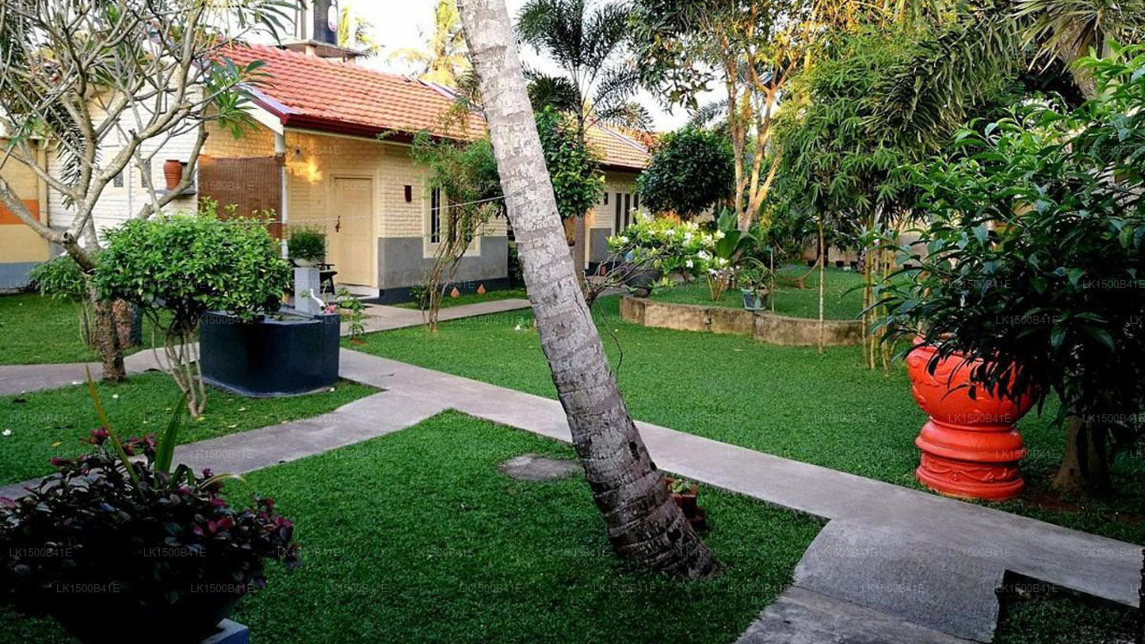 Morgenstern, Negombo