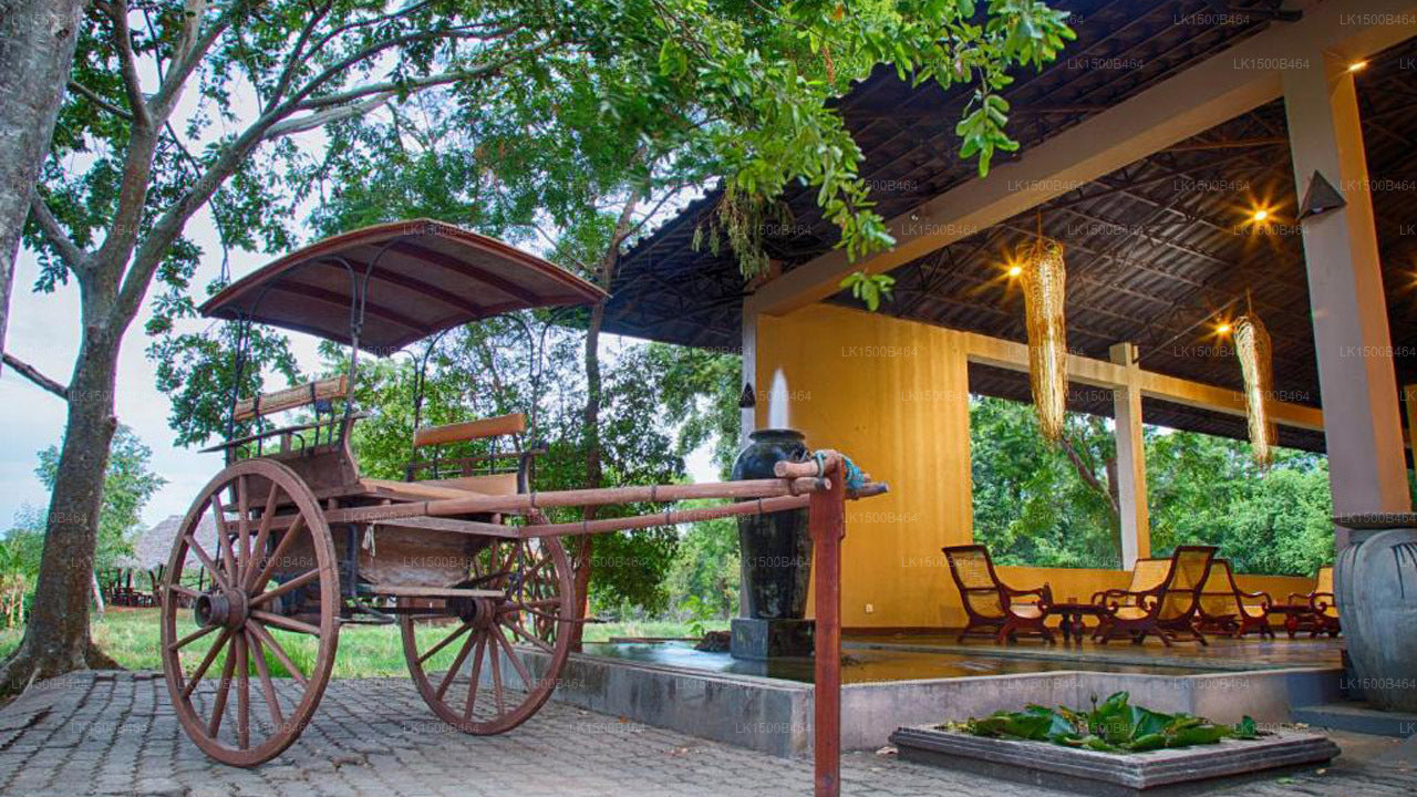 Kassapa-Löwenfelsen, Sigiriya