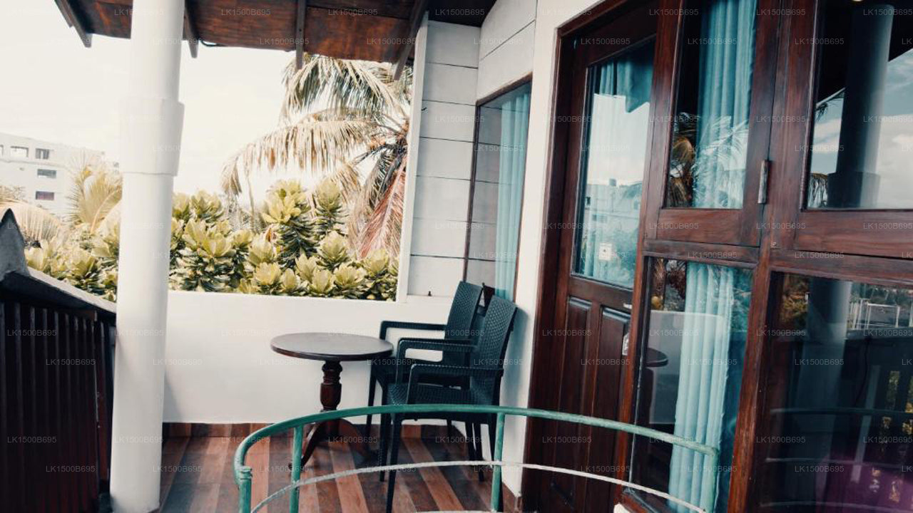 Flora und Fauna Mirissa, Mirissa