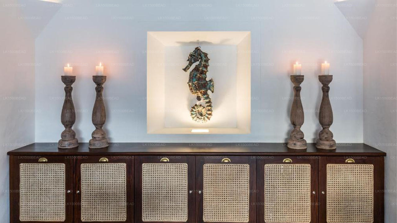 Nyne Hotels The Muse – Bentota