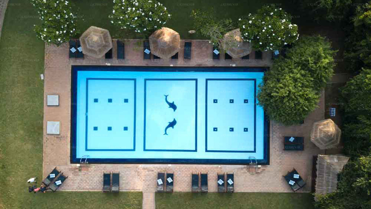 Camellia Resort und Spa, Sigiriya
