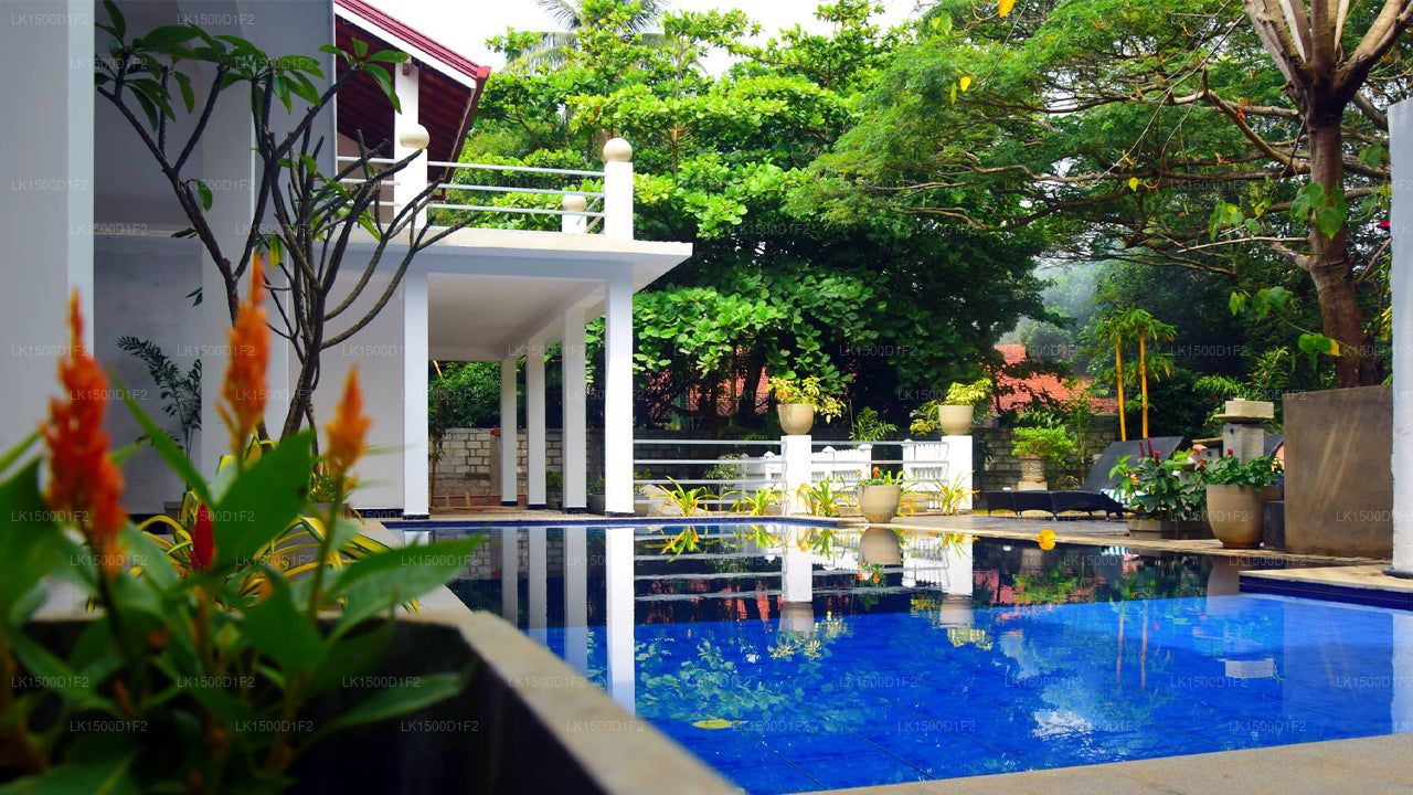 Serendib Village Gästehaus, Negombo