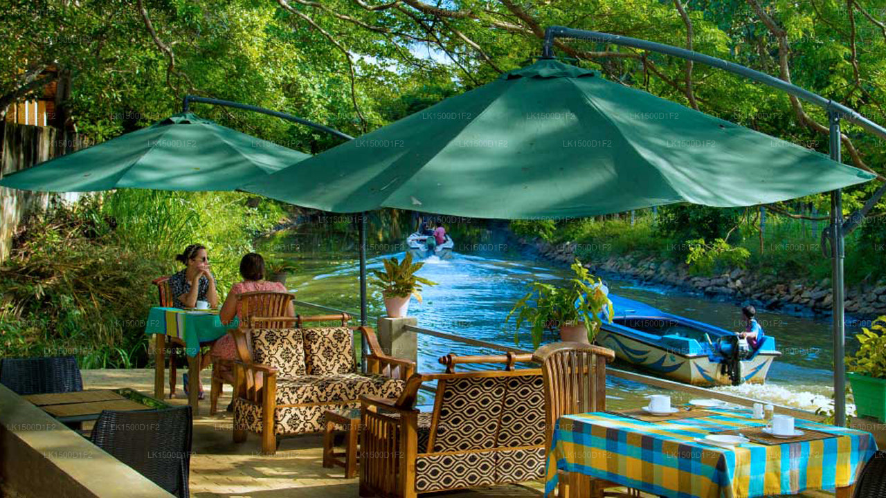 Serendib Village Gästehaus, Negombo