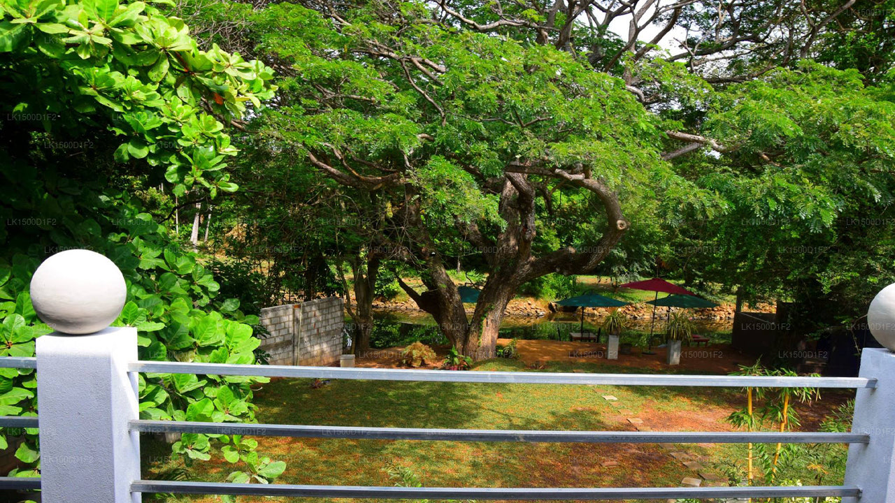 Serendib Village Gästehaus, Negombo