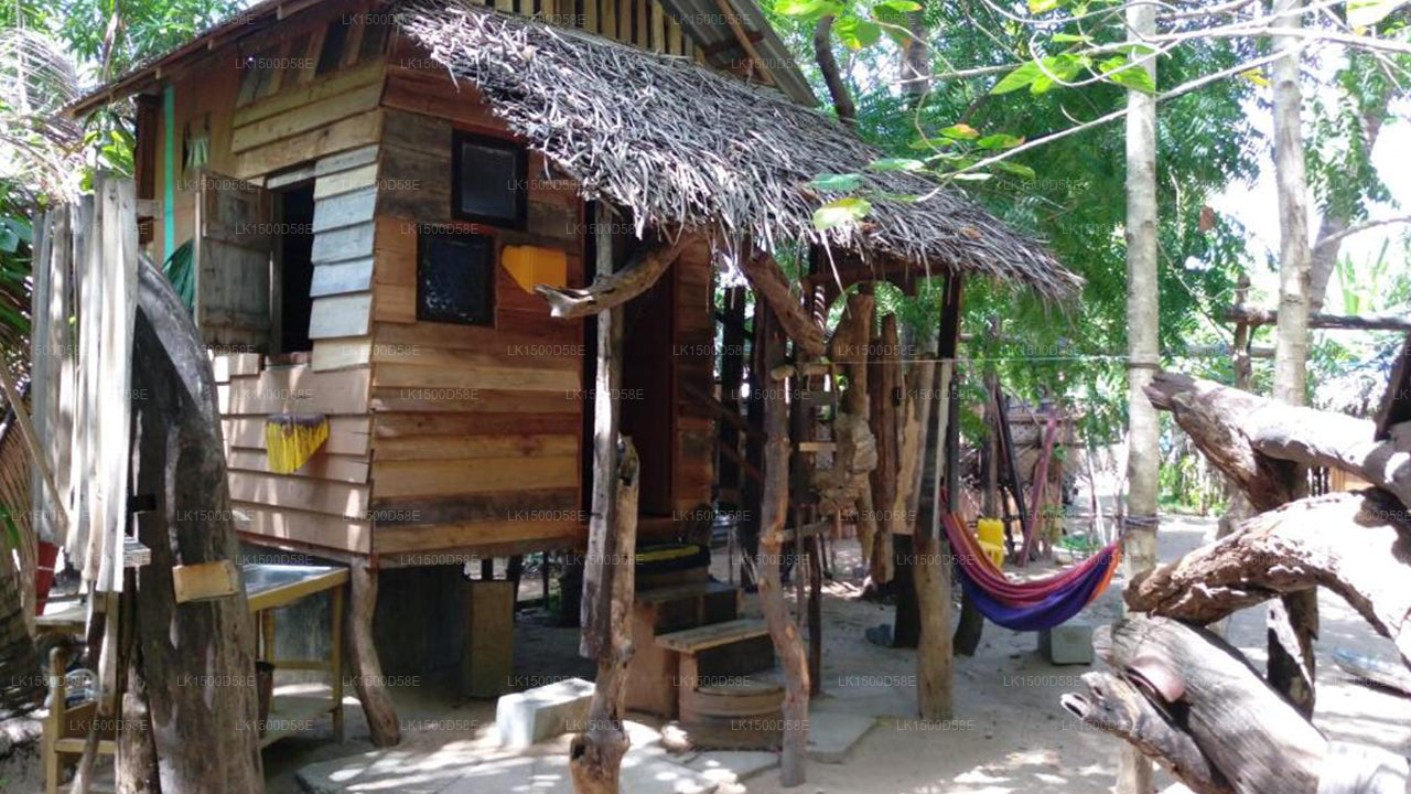 Strandhütte, Arugam Bay