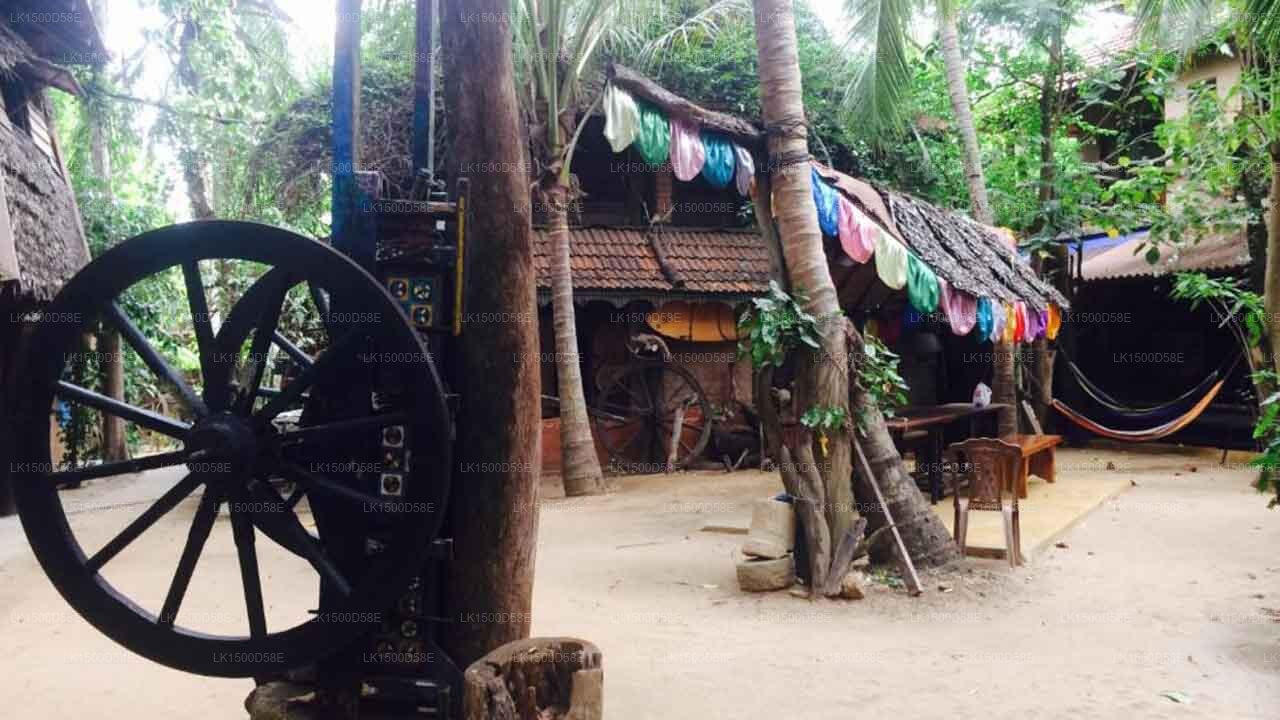 Strandhütte, Arugam Bay