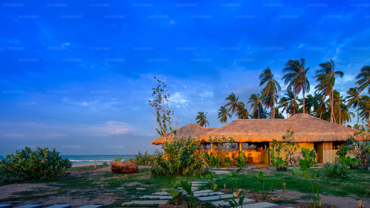 Blaues Wasser, Arugam Bay