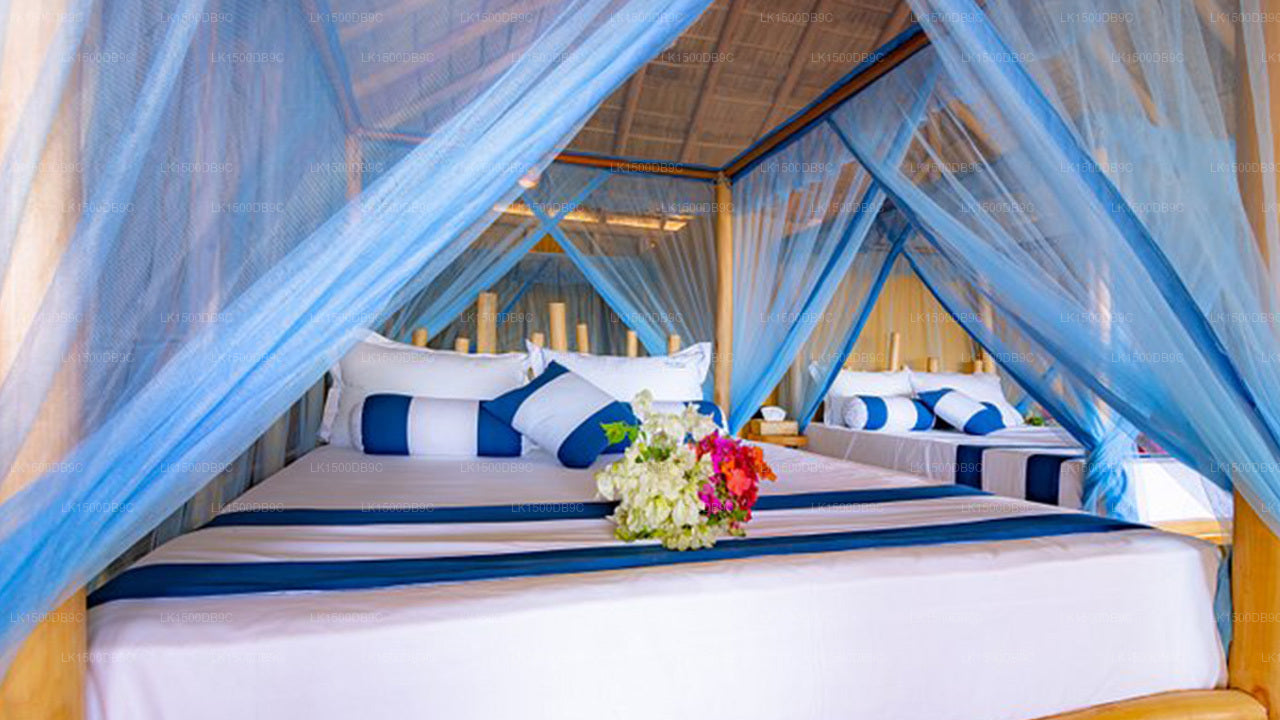 Blaues Wasser, Arugam Bay