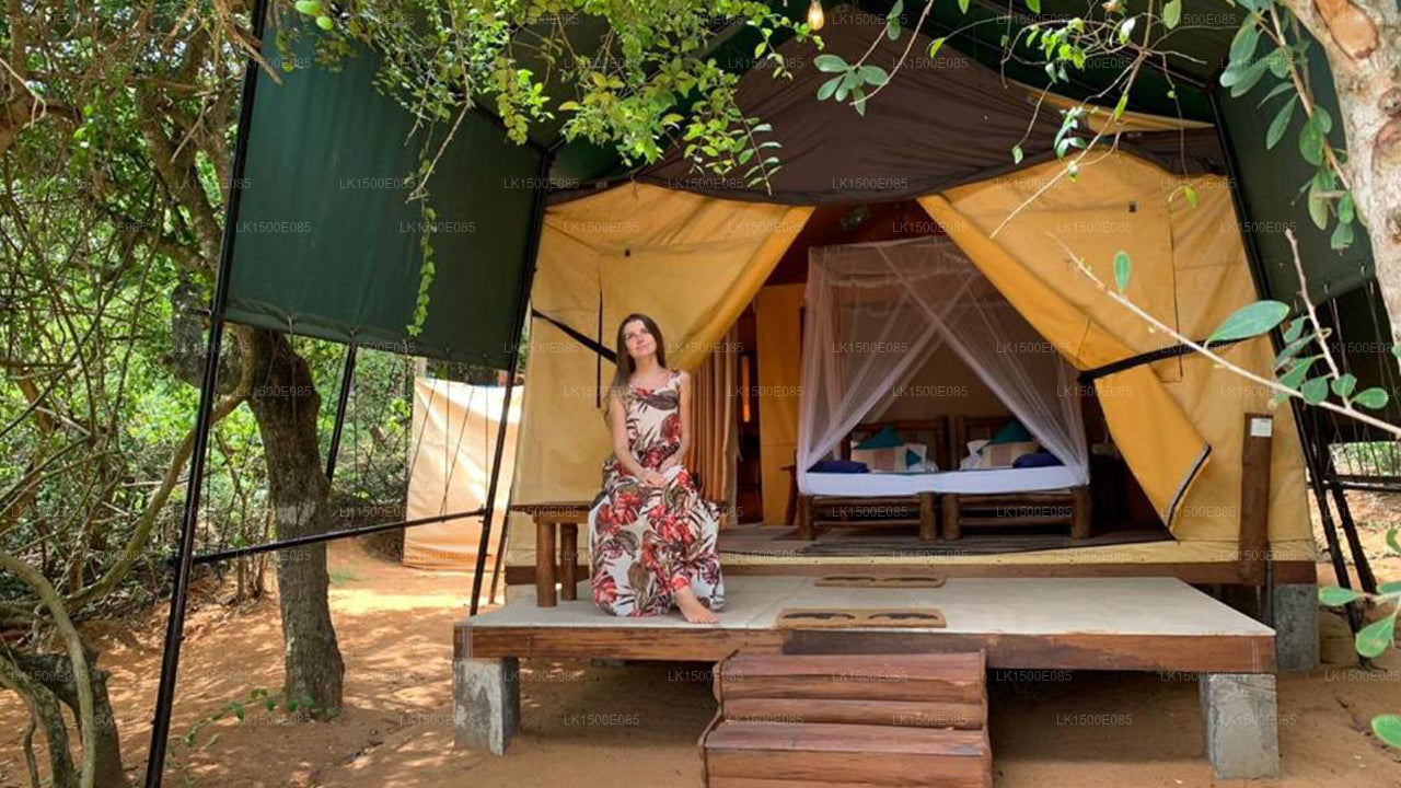 Zurück ins Jenseits - Safari Lodge, Yala