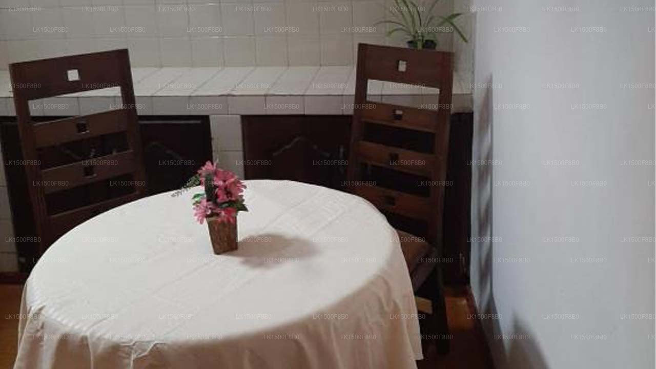 Dintharu Villa, Colombo