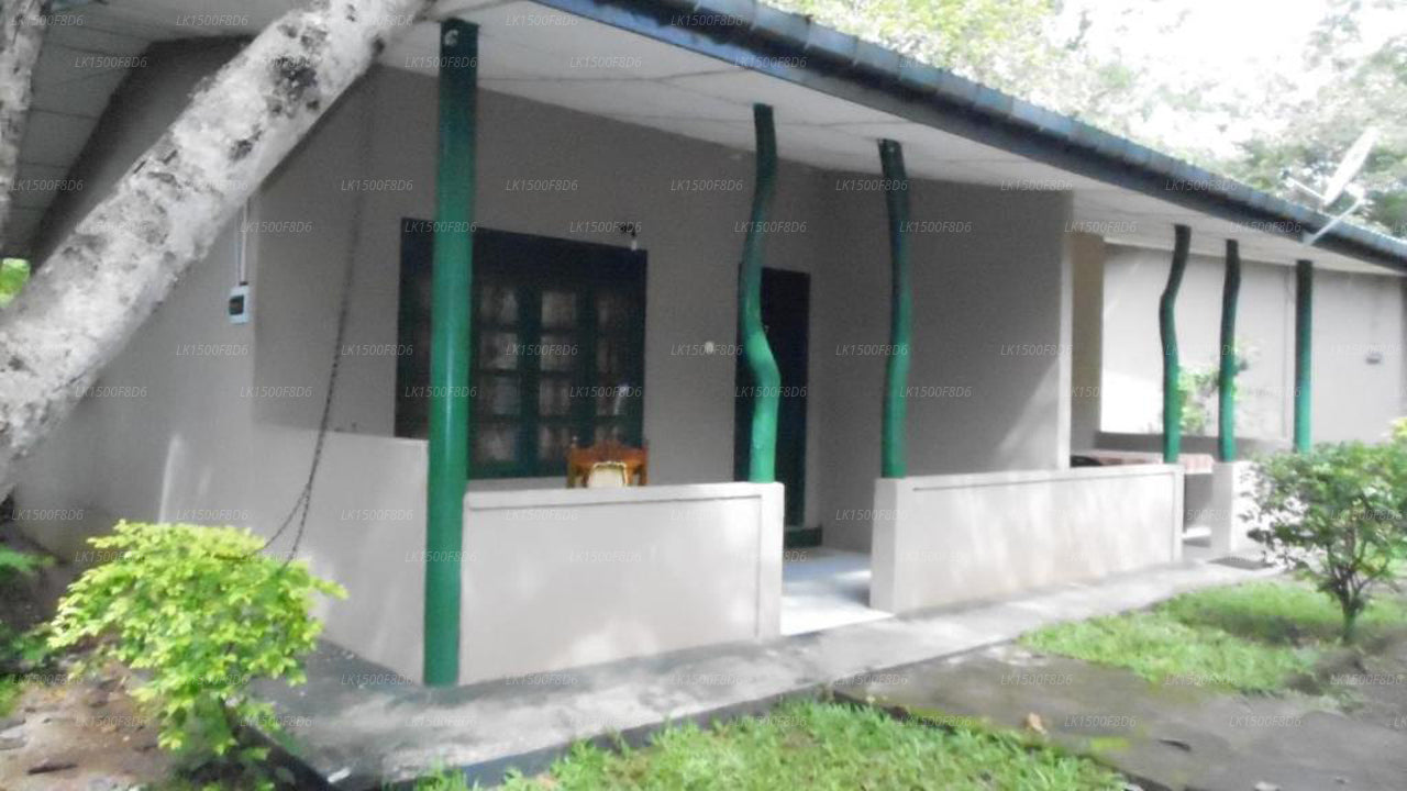 Dorf Asnara, Habarana