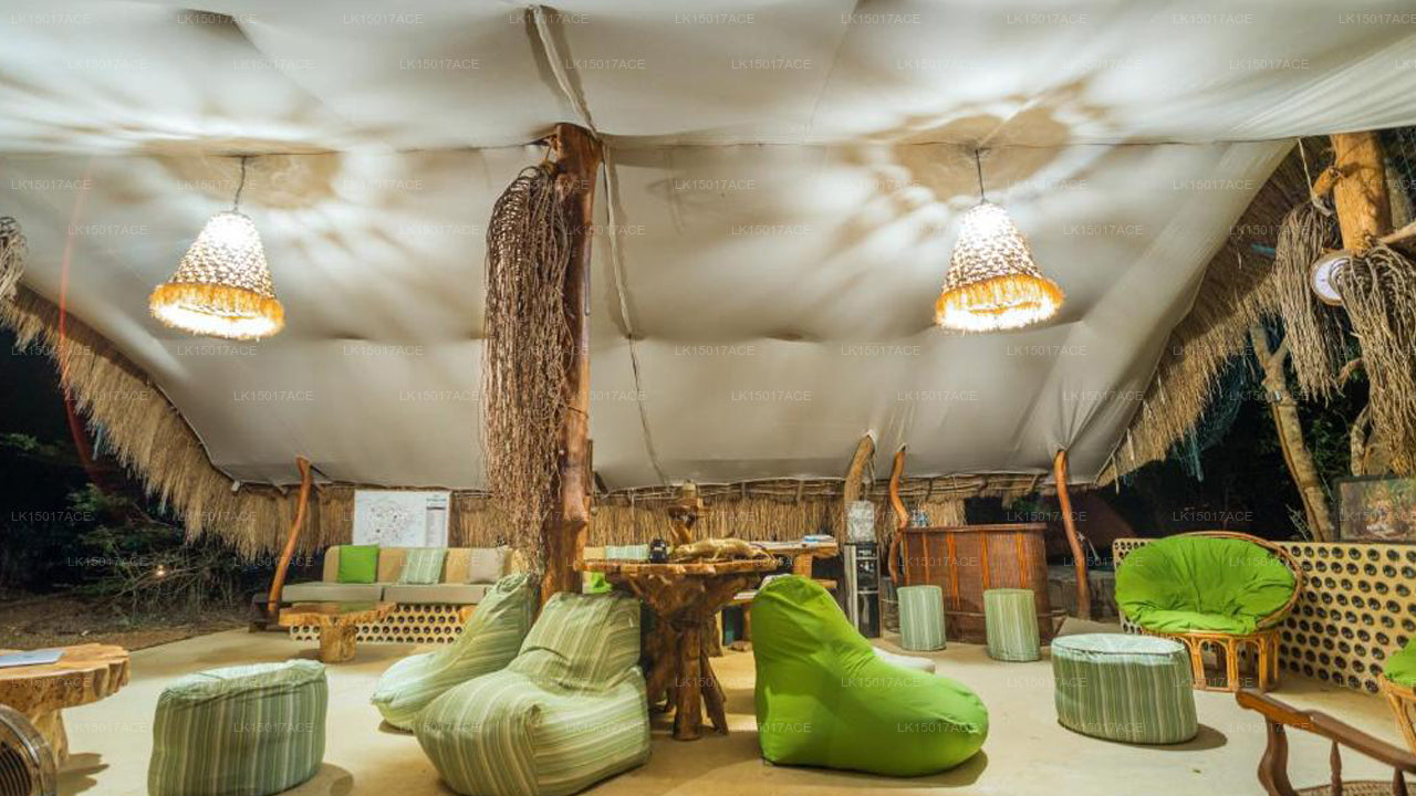 Leopardensafaris von KK Collection Yala