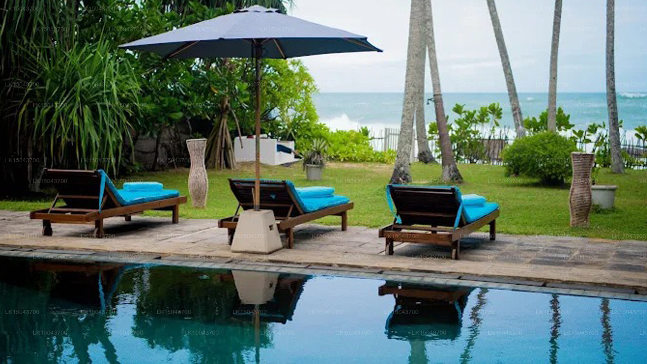 Die Strandhütte, Galle