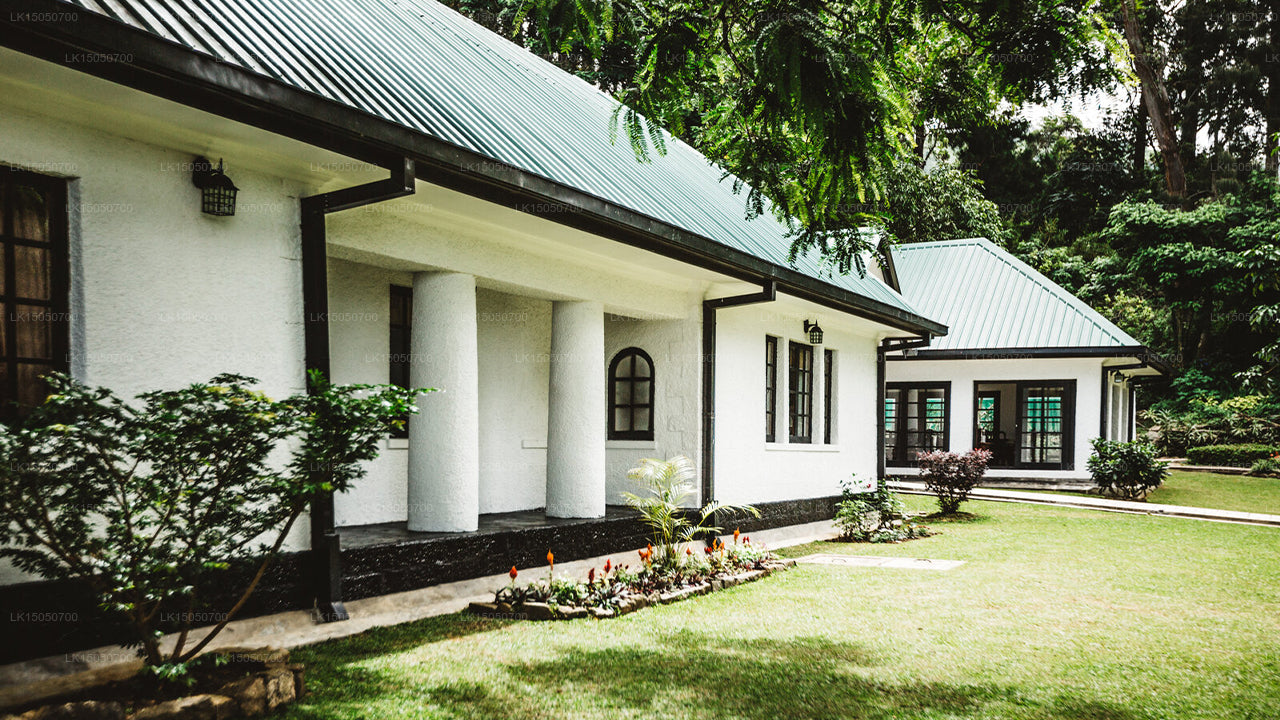 Thotalagala Teeplantagen-Bungalow, Haputale