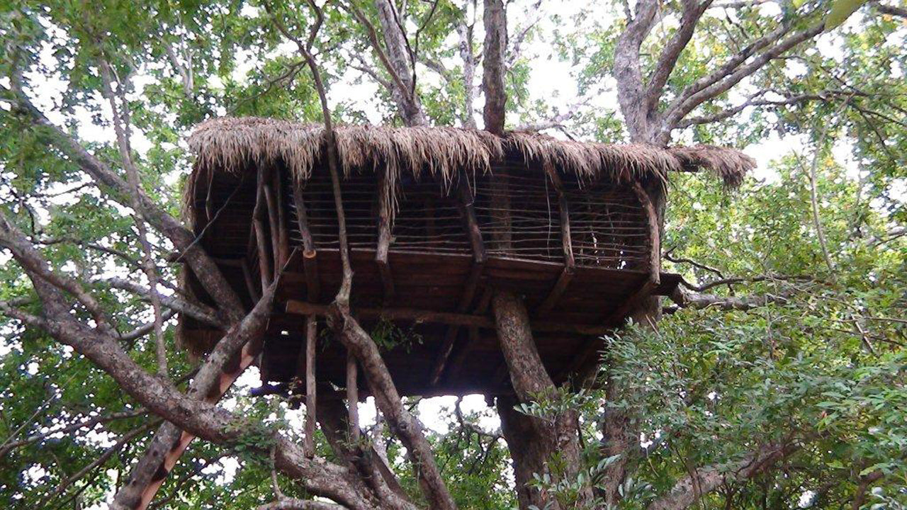 Wasgamuwa Safari Sri Lanka - Ferienbungalows