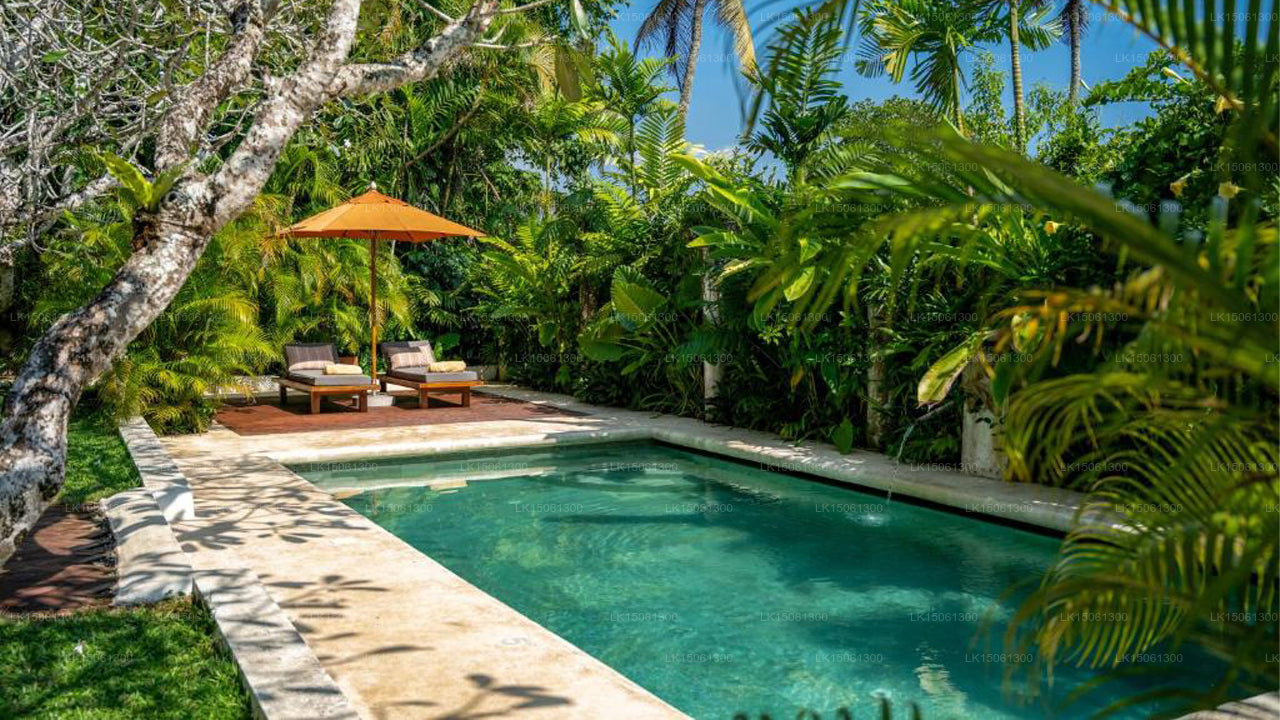 Das Sonnenhaus, Galle