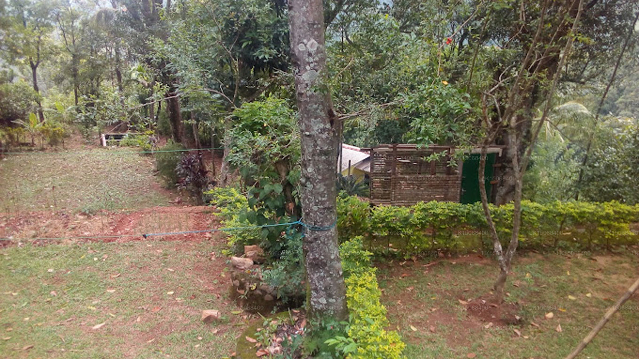 Pine Forest Inn Ferienbungalow, Watawala