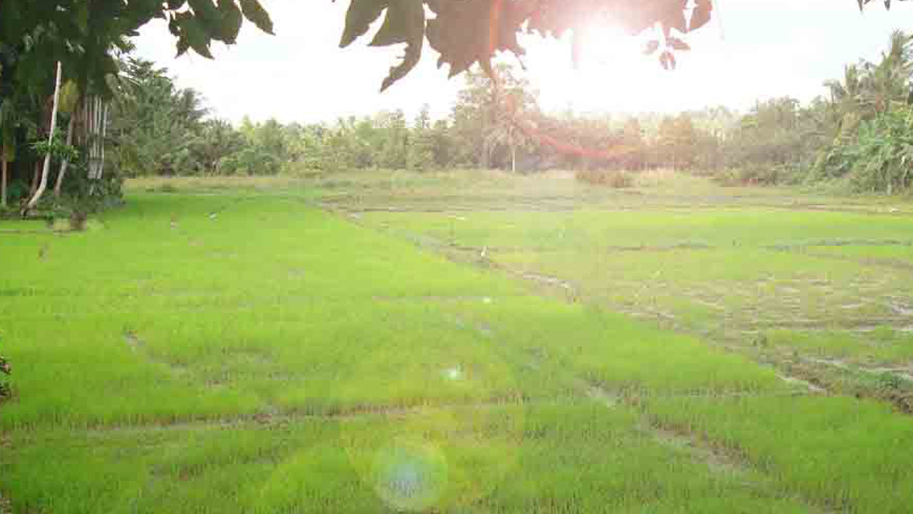 Chamo Villas, Ambalangoda