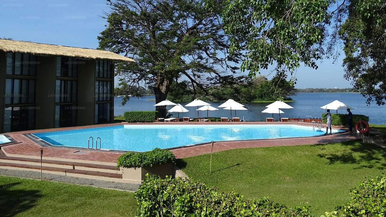 Fernandos Haus, Unawatuna