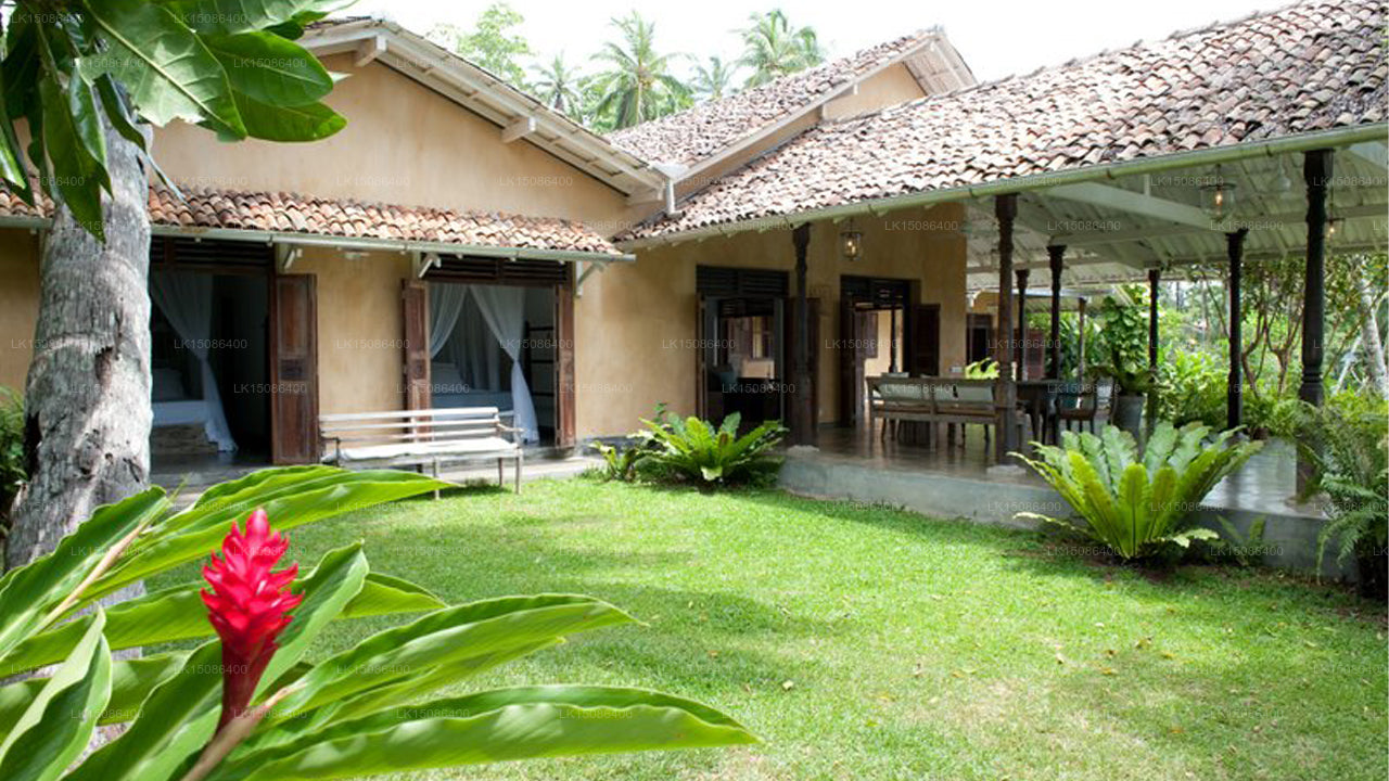 Das alte Palmenhaus, Unawatuna