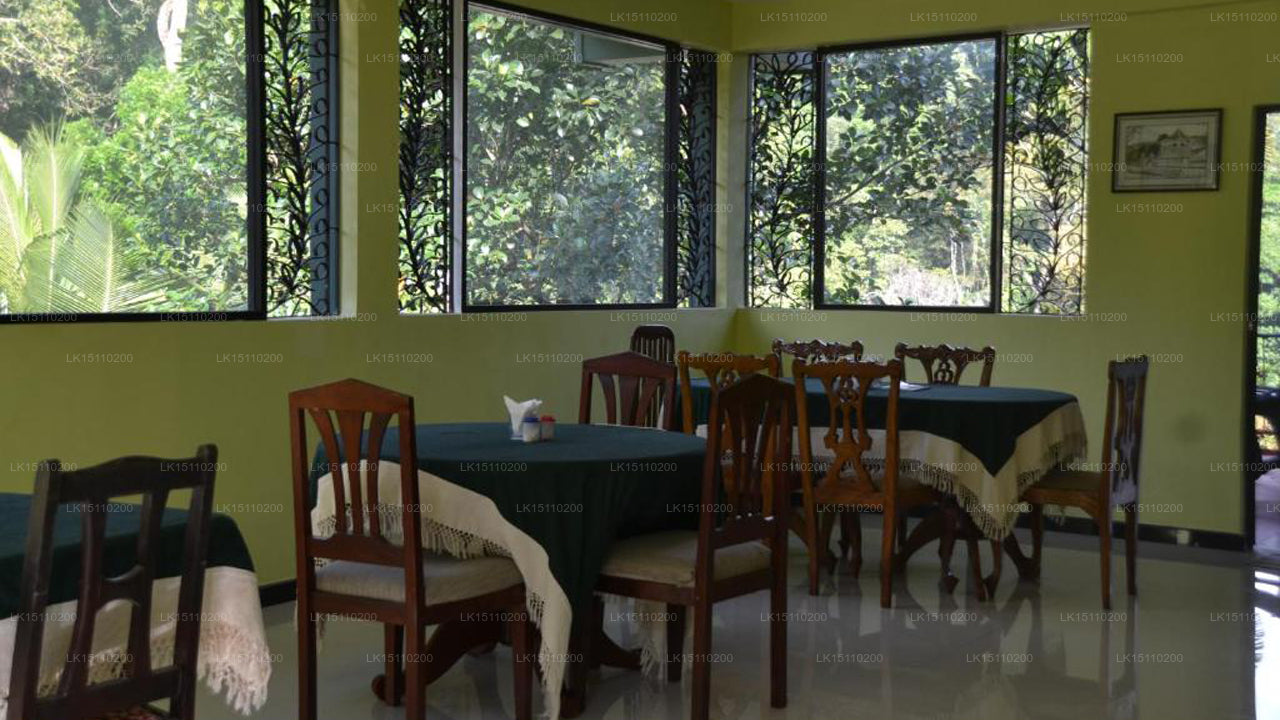 Grüne Wälder, Kandy