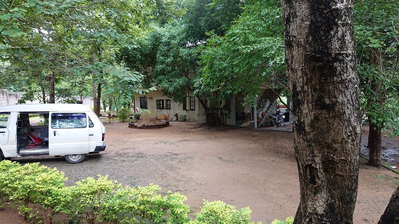 Ashane Ferienbungalow, Wasgamuwa