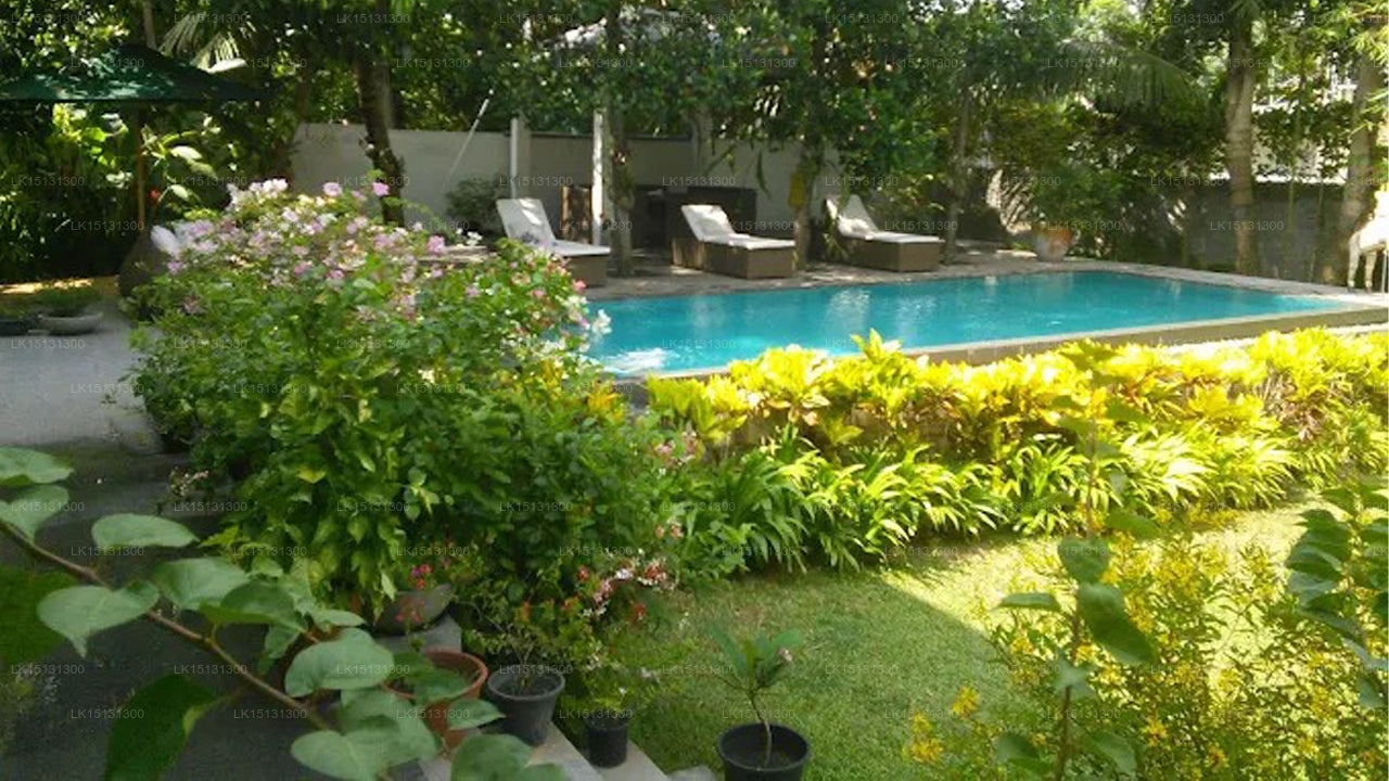 Paradies Halbarawa, Colombo