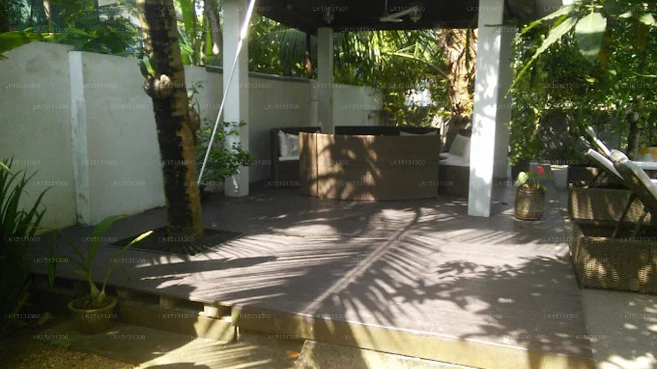 Paradies Halbarawa, Colombo