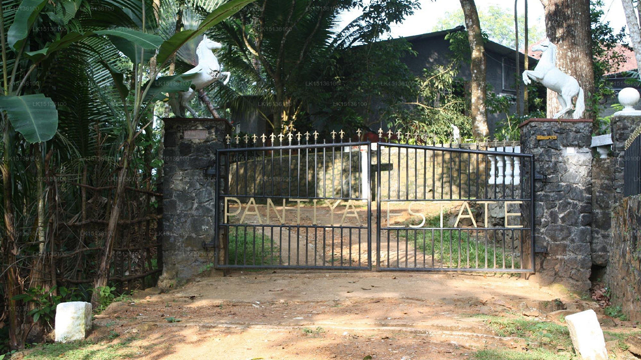 Pantiya Estate Ferienbungalow, Mathugama