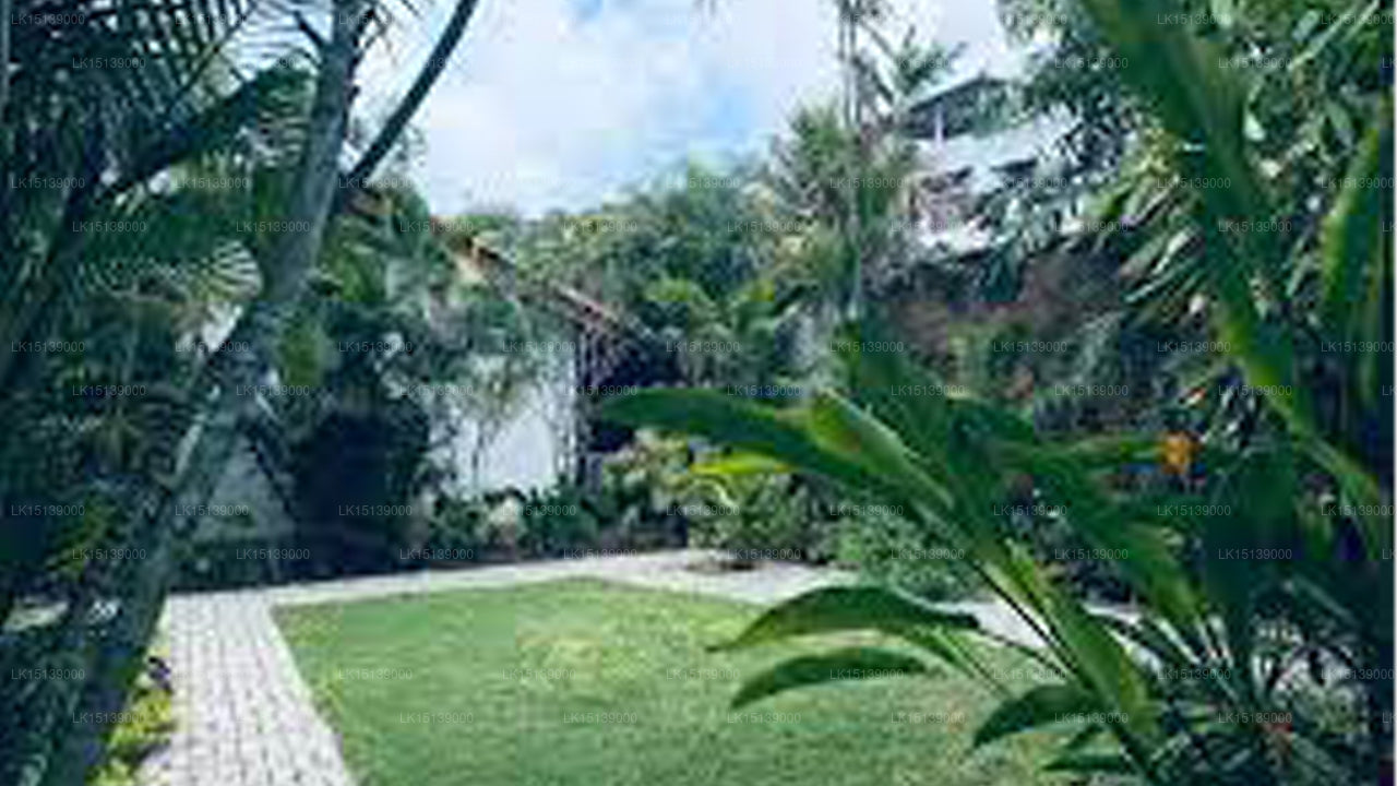 Bauerngarten, Mount Lavinia