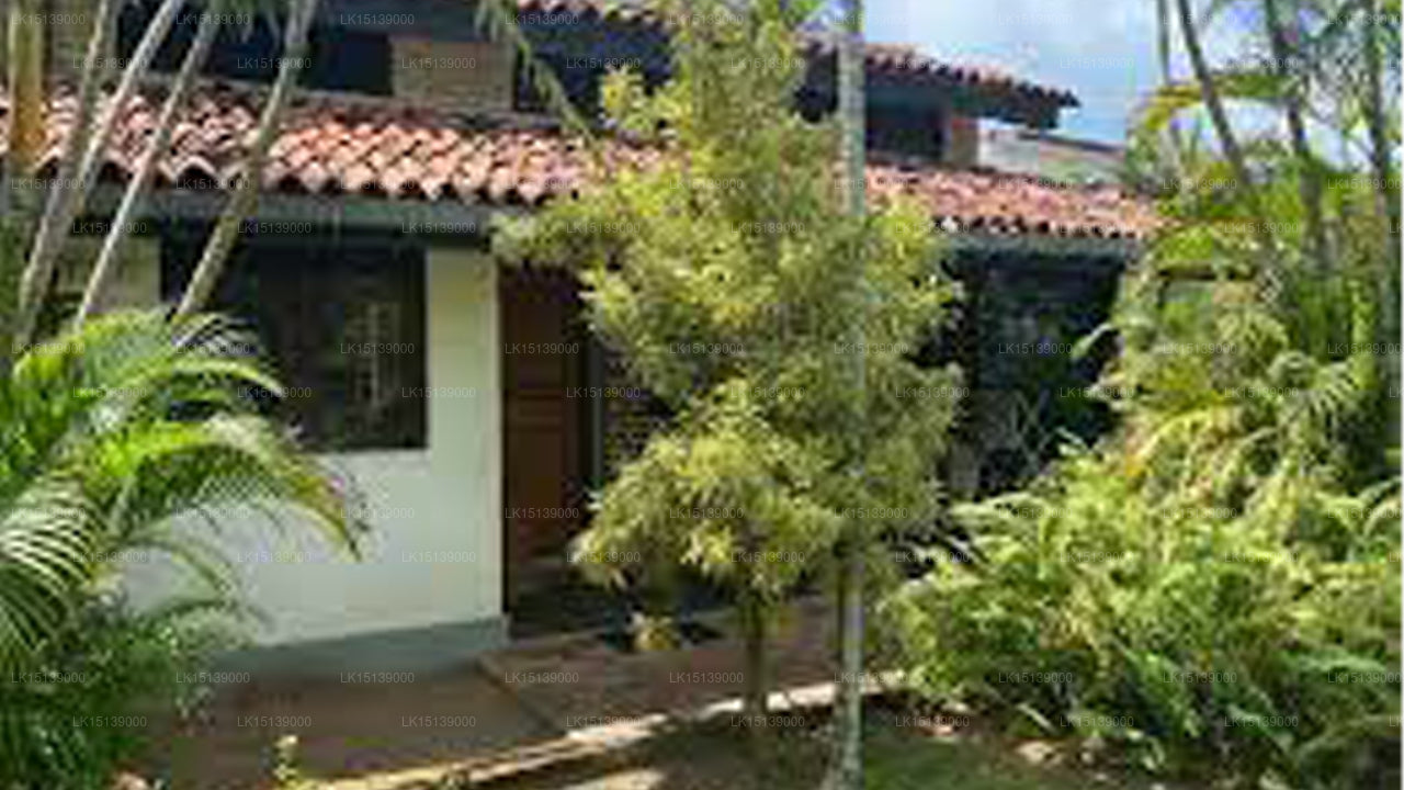 Bauerngarten, Mount Lavinia