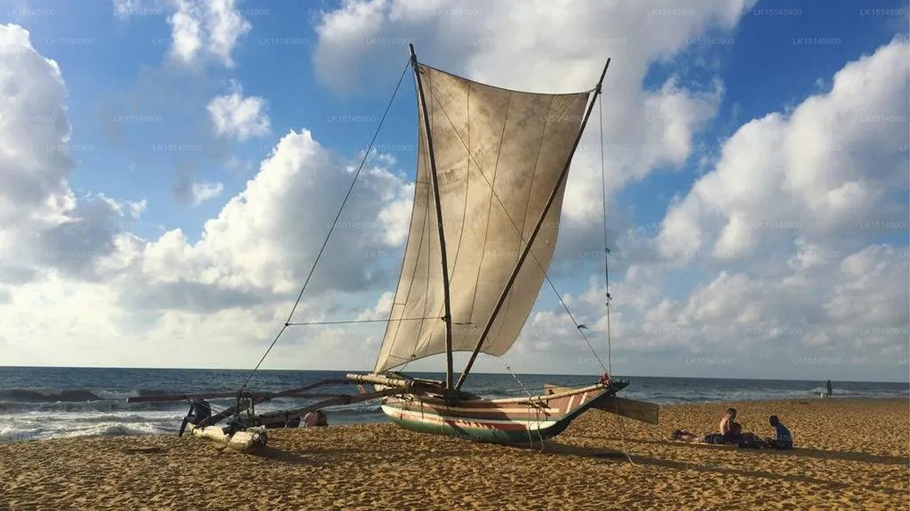 Grüne Gärten, Negombo
