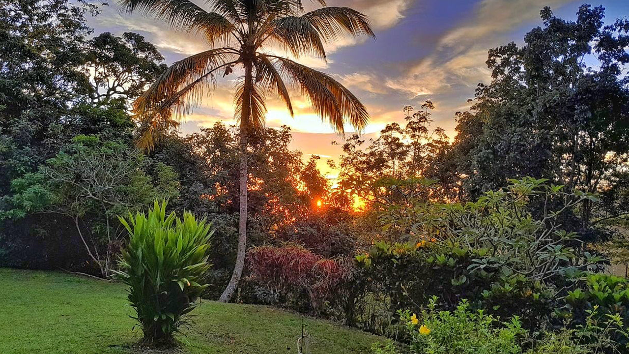 Öko-Dschungelversteck, Matara