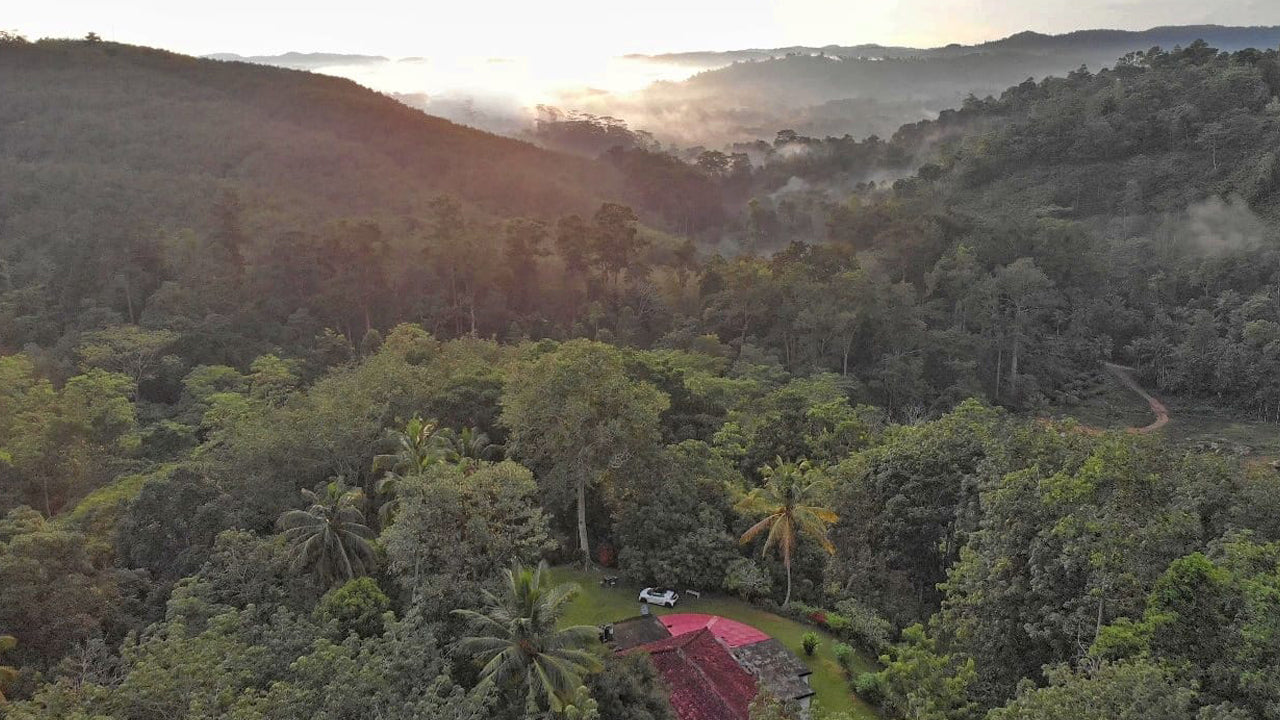Öko-Dschungelversteck, Matara