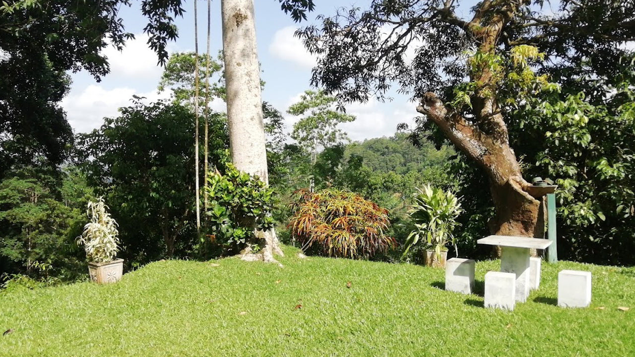 Öko-Dschungelversteck, Matara