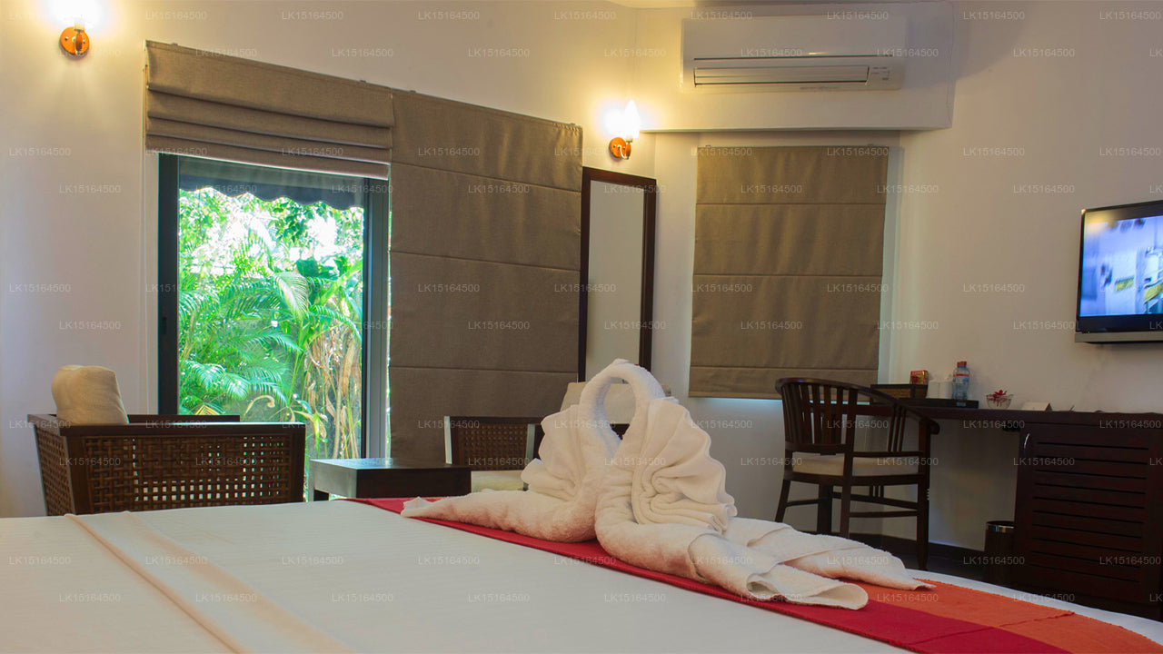 Die Villa Exotica, Kotte