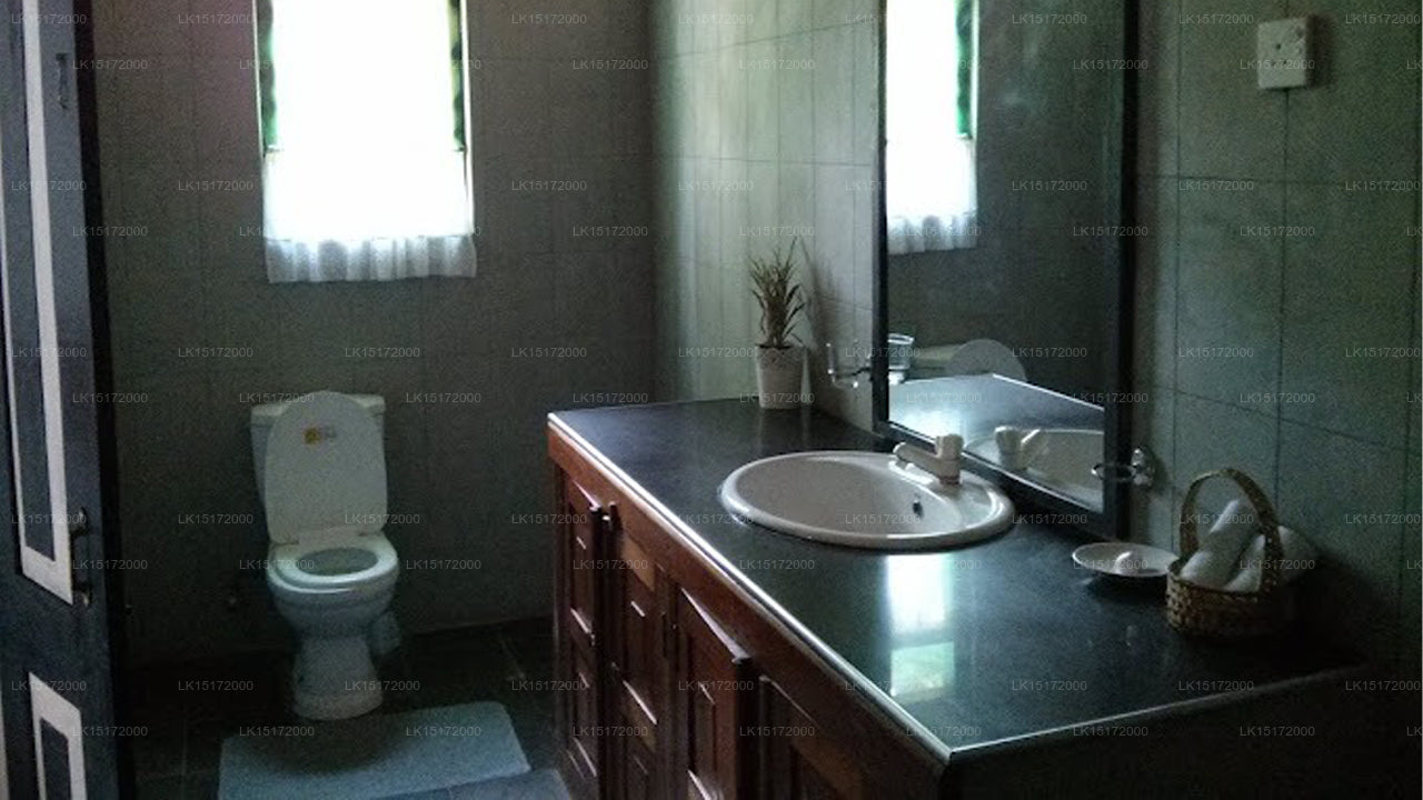 Der Ficushain, Habarana