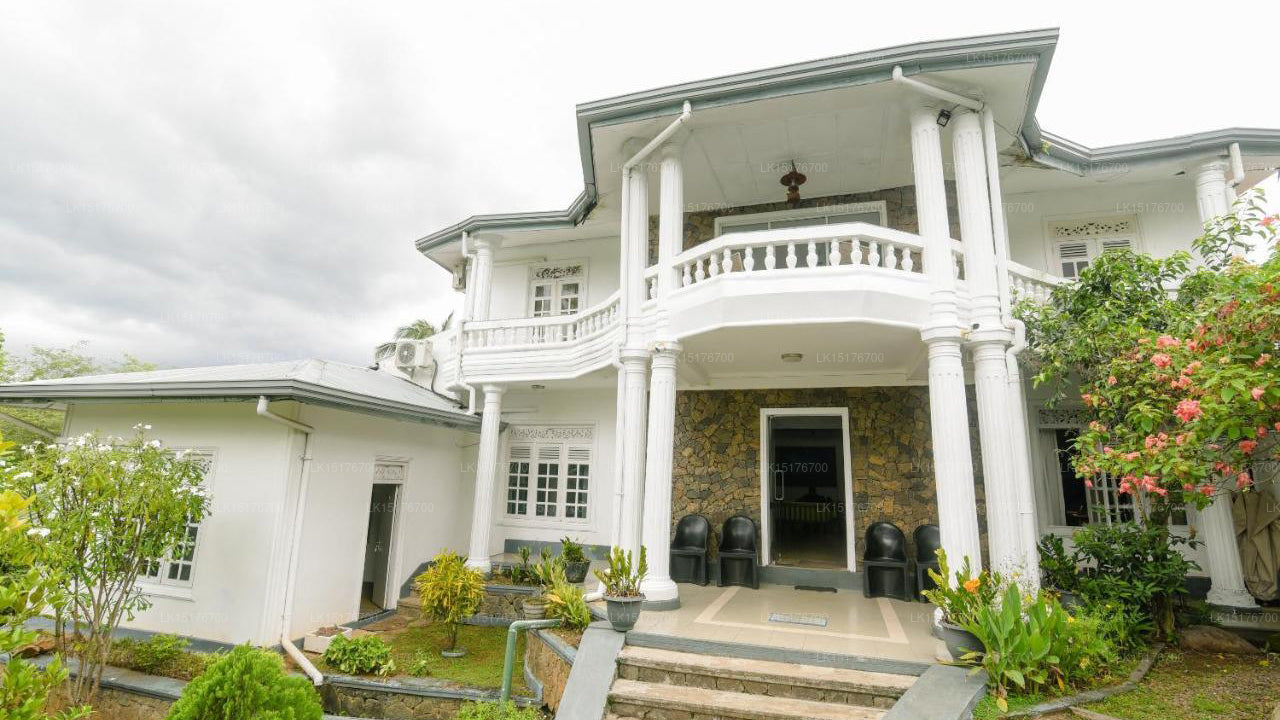 Touristischer Gast der White Villa, Kandy