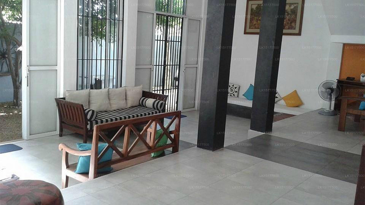Palmennest, Colombo