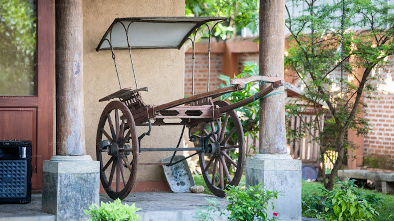 Der Ranmin-Bungalow, Piliyandala