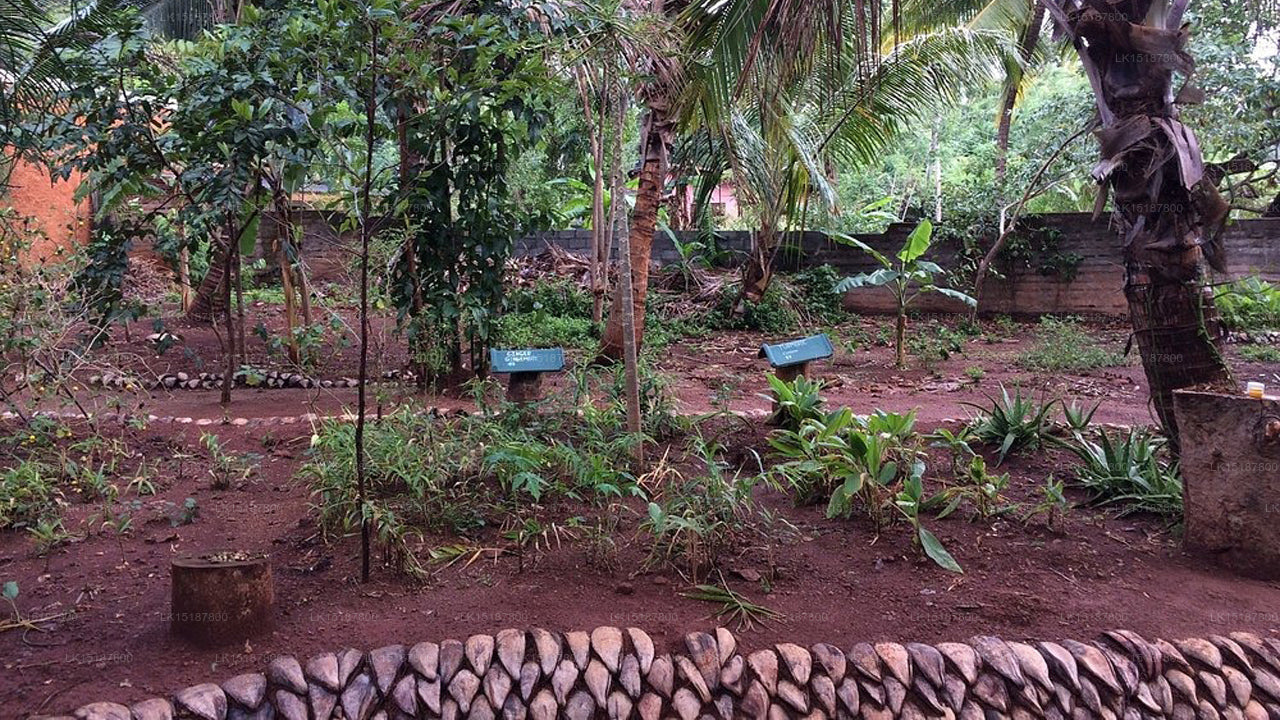 Paramount 200 Gewürzgarten, Matale